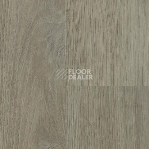 Линолеум Forbo SureStep Wood 18982 shadow oak фото 1 | FLOORDEALER
